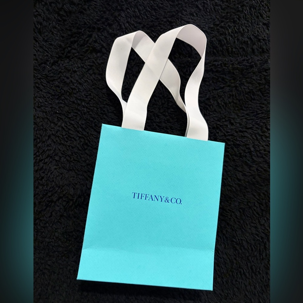 Tiffany & Co. Robin's Gift Bag